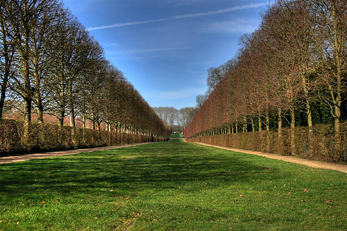 gforcecompanies's profile picture. 