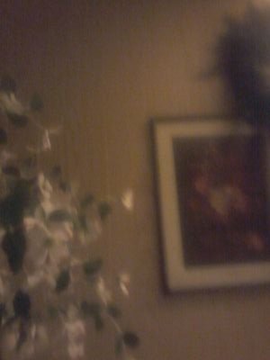 overcome41778's profile picture. 