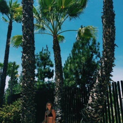 sammifaro's profile picture. 