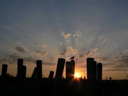 Stst_07's profile picture. 