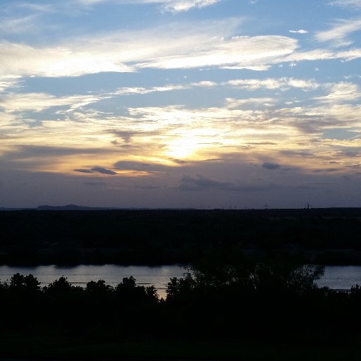 Luis_Roboto's profile picture. 