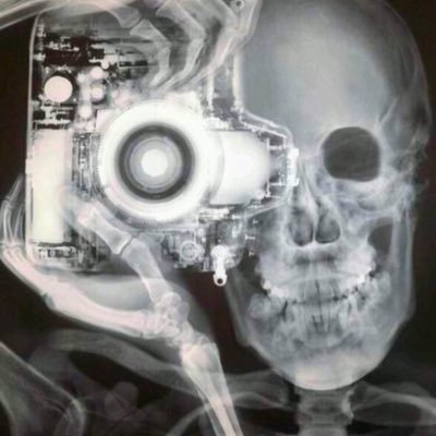 GuestMims's profile picture. happy Lady the Lord has blessed! KC CHIEFS lover & follower..KU Jayhawks❤️...✈️world traveler these thoughts are mine & mine alone.old acct LguestGuest #Twitter