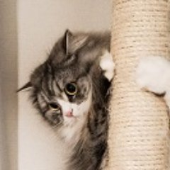 自分の人生は自分で選択しています。うまくいかない時も上手く行った時もすべて自分の選択です。このツイートを読んで実践すると自分の人生は自分で決めていると実感できます。RTはご自由にどうぞ！ #会社辞めたい #自己啓発 #引き寄せ #副業 #自己啓発 #名言 #格言 #言葉 #価値