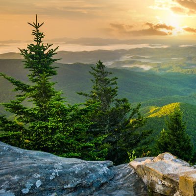 IDK_MY_NAME01's profile picture. Gaming