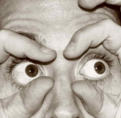 noelzancanella's profile picture. 