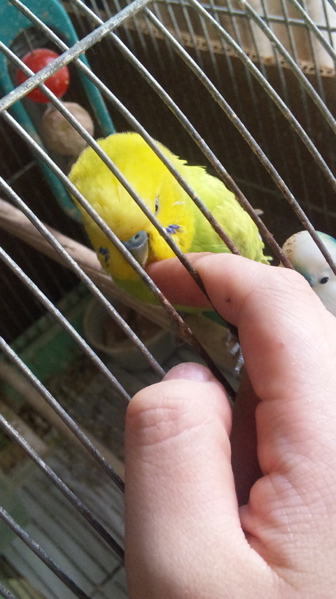 ayutan8815's profile picture. 