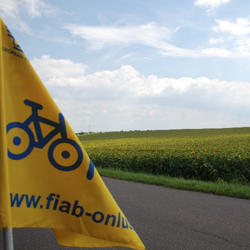 Profilo ufficiale. 
Gli Amici della Bicicletta di Padova costituiscono un'associazione apolitica che aderisce a FIAB Onlus.
Seguiteci anche su FB e Instagram
