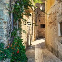 ‏༄ ᗨᏴᎧᏕ͢Ꮜ⓷ᎾᎠ༄ (@rootksa) Twitter profile photo