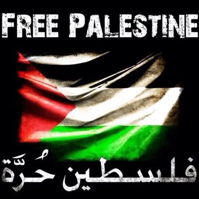 nazreenali's profile picture. 