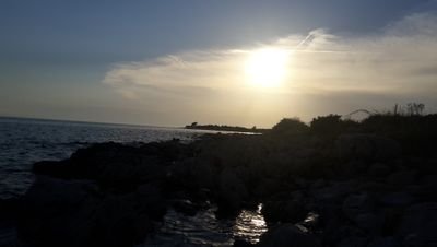 boetiekchic's profile picture. 