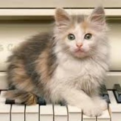 バイク好き、車も好き、元々はドラマー、今はコンサートやイベントの音響屋さん、こたつが大好きなボカロP いつまでも上手くなれないギター弾き
#センダボ
#ホーネット250
#GSXーR125
#CBX125F