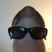Punxsutawney Rich (@rsbaier) 's Twitter Profile Photo