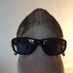 Punxsutawney Rich (@rsbaier) Twitter profile photo Punxsutawney Rich (@rsbaier) Twitter profile photo
