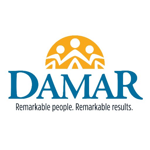 damarservices Profile Picture