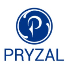 Offering IT Recruitment Services as @PryzalConsul. Pryzal offers IT Recruitment Services, Staffing Service and HR Services.