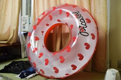 abc_kb5's profile picture. 