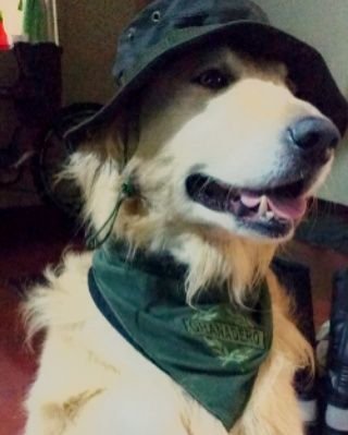 JuanPab67588253's profile picture. 