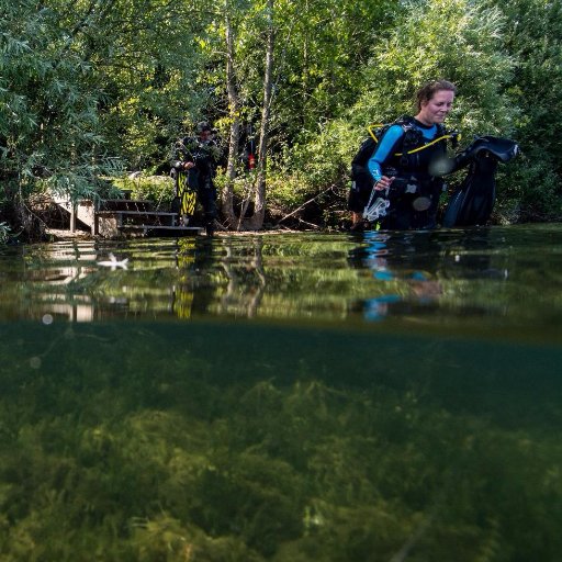LauraSeelen's profile picture. 'Science is we' (Claude Bernard). Regional watermanager working on improving water quality together with all its users. PhD in quarry lake ecology.