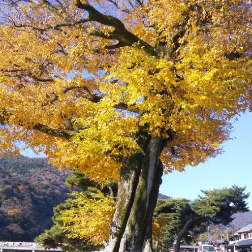 山高ければ、谷深し・・・蓋し名言。