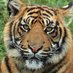 RoyalBengal 🇮🇳 सदा वत्सले मातृभूमे (@dakhsinroy) Twitter profile photo RoyalBengal 🇮🇳 सदा वत्सले मातृभूमे (@dakhsinroy) Twitter profile photo
