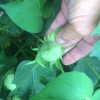 Russ Parker (@russparker11) 's Twitter Profile Photo