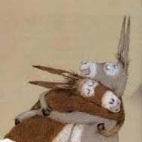 Michail Gastroff (@michailgastroff) 's Twitter Profile Photo Michail Gastroff (@michailgastroff) 's Twitter Profile Photo