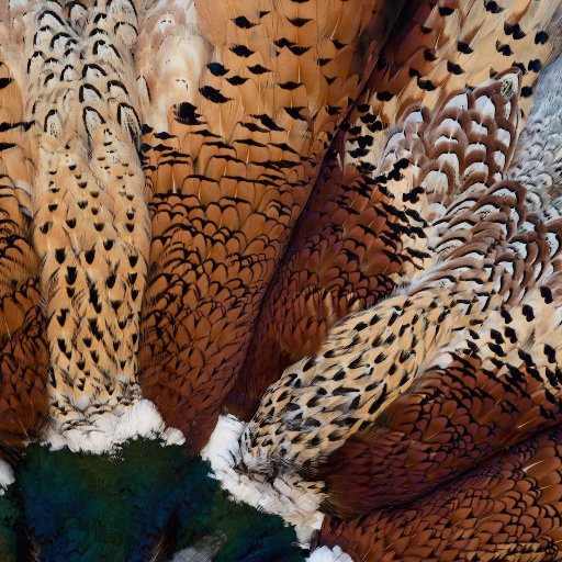 KayDoble's profile picture. Artist using natural materials to explore physical attraction, natural selection, genetics and the golden ratio.