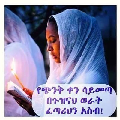 AfraAfra15's profile picture. 