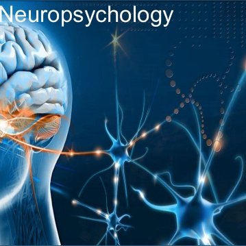 Neuropsychology services are designed to provide cost-effective evaluations to diagnose,