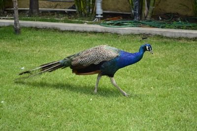 MarcDanielJEAN2's profile picture. Parce que j'aime tout le monde .