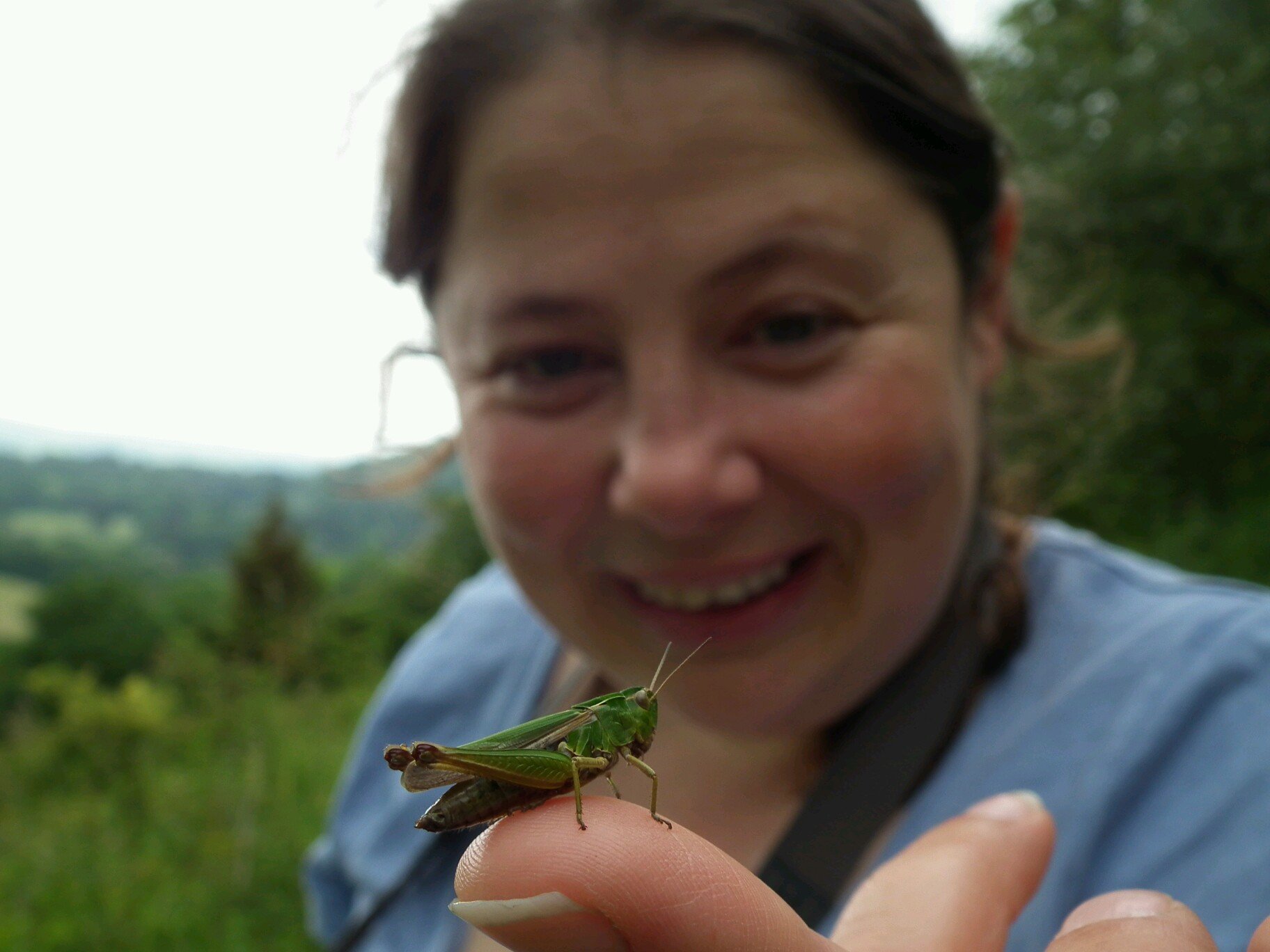 anna_allum's profile picture. Birdwatcher, bug hunter, fungi fan and all round nature enthusiast.