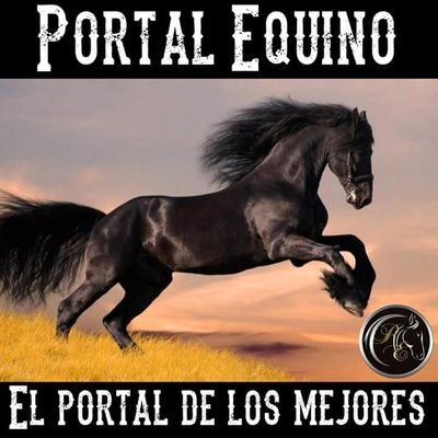 Portal_Equino Profile Picture