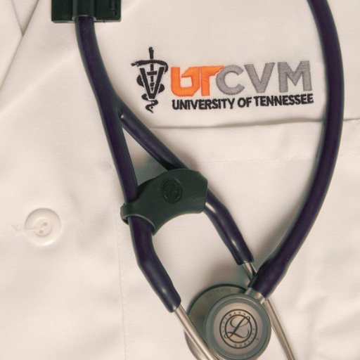 University of Tennessee College of Veterinary Medicine: one of 33 veterinary colleges in the country. #Knoxville #Tennessee KNOWLEDGE. COMPASSION. DISCOVERY.