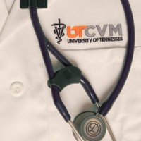 UT Col of Vet Med (@utcvm) 's Twitter Profile