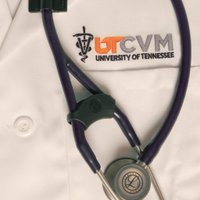 UT Col of Vet Med(@utcvm) 's Twitter Profile Photo