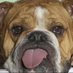 RCHS Library (@rchslibrary1) Twitter profile photo RCHS Library (@rchslibrary1) Twitter profile photo