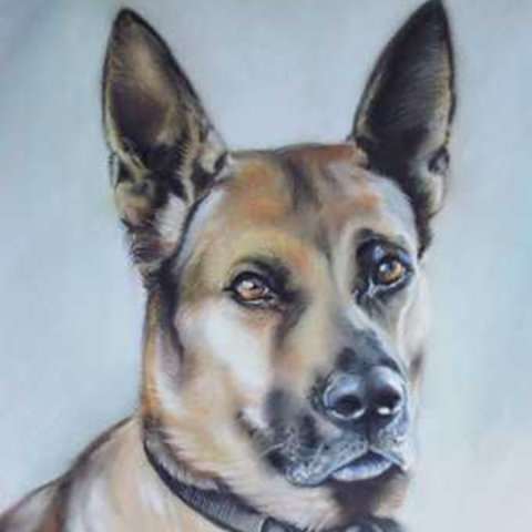 I am a Pencil Portrait Drawing Artist. I draw all Pets and People from your own photos. I use soft Pastels. Drawings are size A3 12 x 16