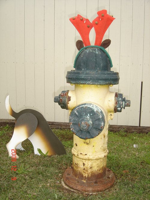 KarlsNewDogCity's profile picture. Columbia's ONLY Self Serve Car/Dog Wash