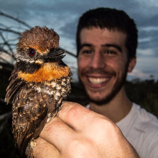 PhD Student at @CIBIO_InBIO, University of Porto.
Working on ecosystem's services provided by bats in cacao plantations 🦇
@DCaptainPlanet_