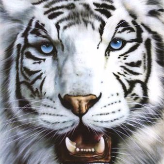 CabreMillan's profile picture. 
