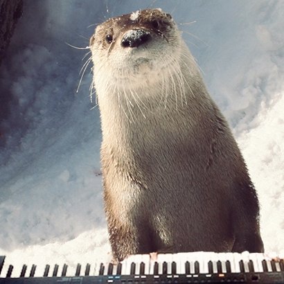 Welcome to Mr. Walker's World of Music at Abraham Erb Public School, Waterloo. Home of the Otters.