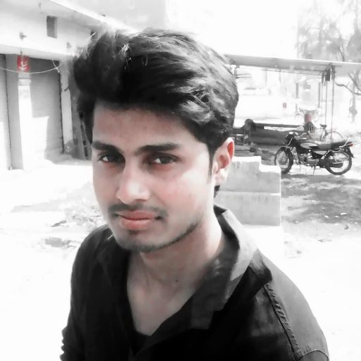 harshilankit's profile picture. Seo Executive