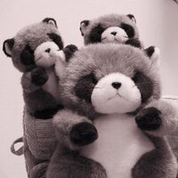 たぬべえ (@tanubee_pp) 's Twitter Profile