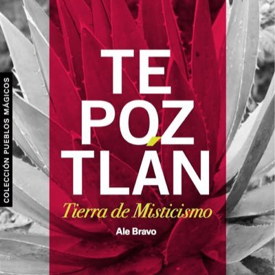 #Libro con toda la información que necesitas saber sobre #Tepoztlán. Primer libro de la colección de Pueblos mágicos de México de @OmbligoLunaMX