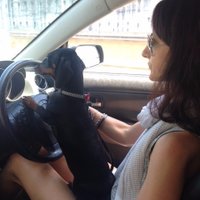 Jennifer Kent (@jenniferleekent) 's Twitter Profile