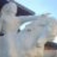 함만세 (@ysm409) 's Twitter Profile Photo 함만세 (@ysm409) 's Twitter Profile Photo