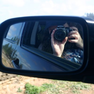 Compositional98's profile picture. I take photos of people that make really good music.