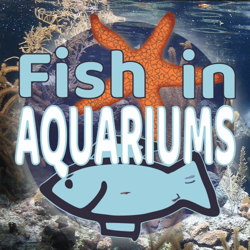 Simple Tips for the Home Aquarium Keeper