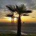 Nice2030 (@nice2030_actu) Twitter profile photo Nice2030 (@nice2030_actu) Twitter profile photo