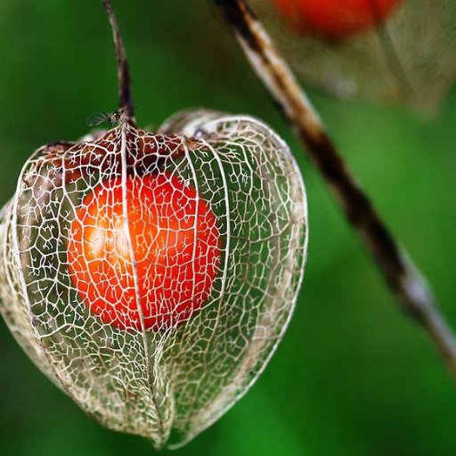 Monemeng1's profile picture. 